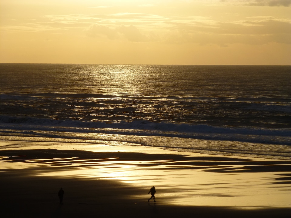 Coast beach pacific ocean