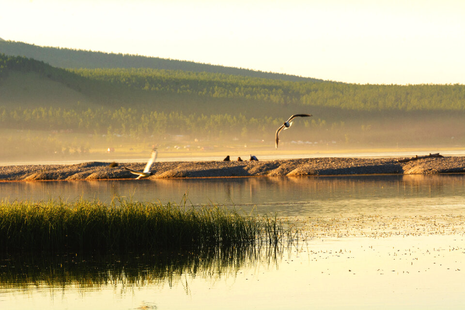 KhГ¶vsgГ¶l Lake and Birds