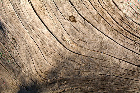 Wood Texture Lines photo
