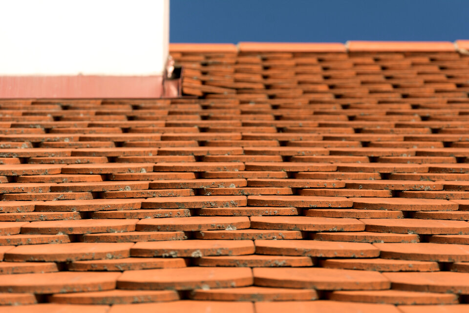 Roof Pattern photo