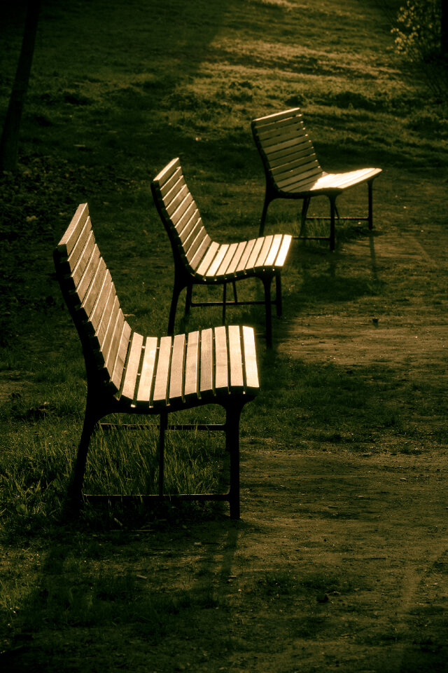 Three Empty Benches in Park