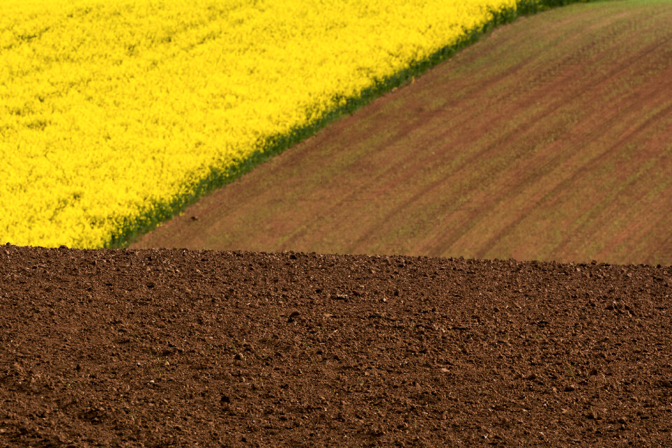 Minimalist Colorful Field Photo