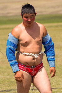 Mongolian Wrestler photo
