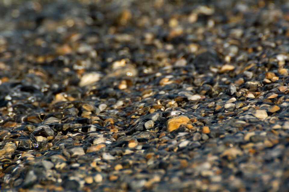 Pebbles at the Shore of a Clear Lake