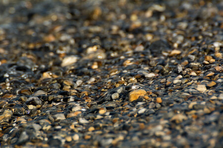 Pebbles at the Shore of a Clear Lake photo