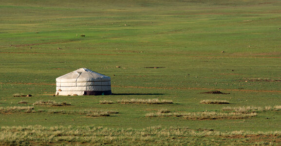 Mongolian yurt in the green steppe photo