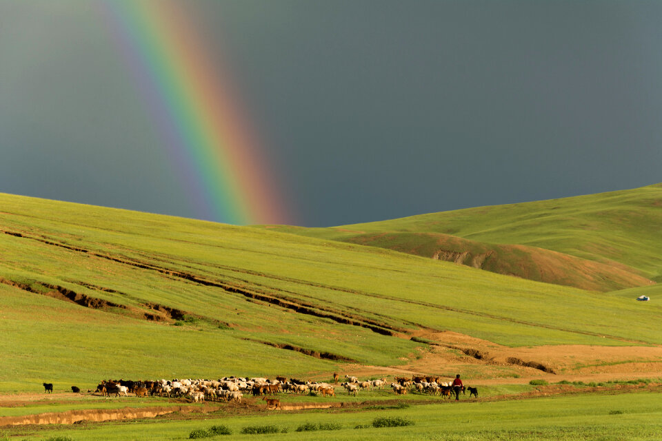 Rainbow in mongolian steppe photo