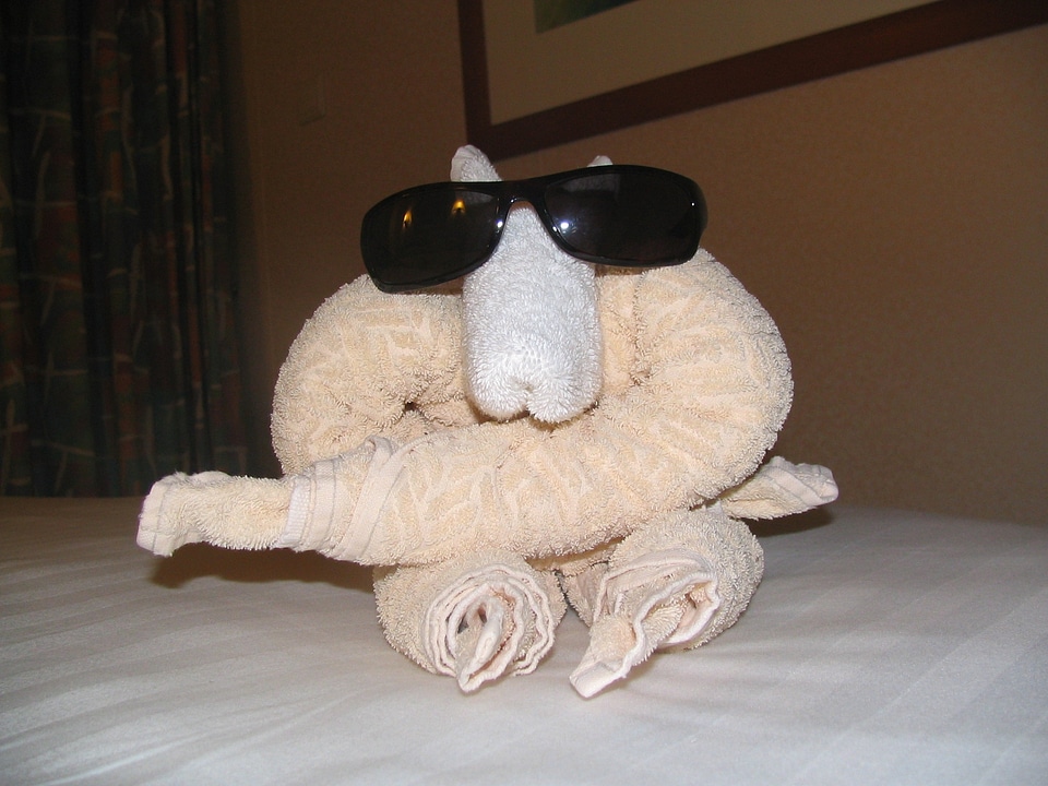 Animal towel cute