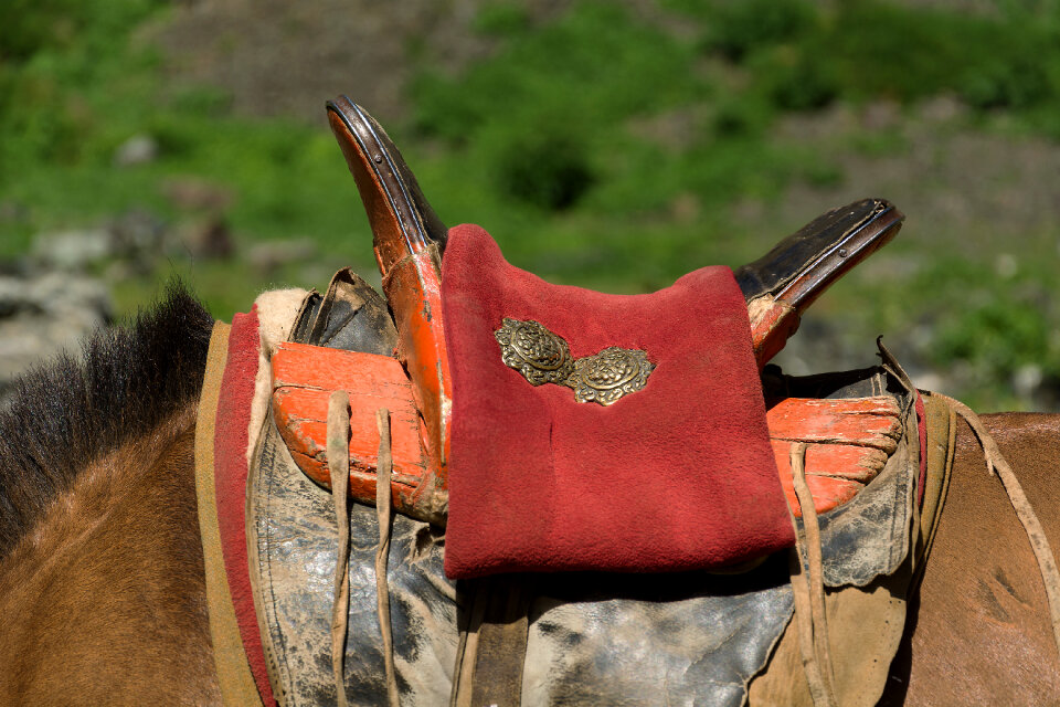 Mongolian Horse Saddle photo