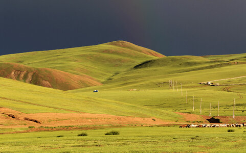 Green steppe in Mongolia photo