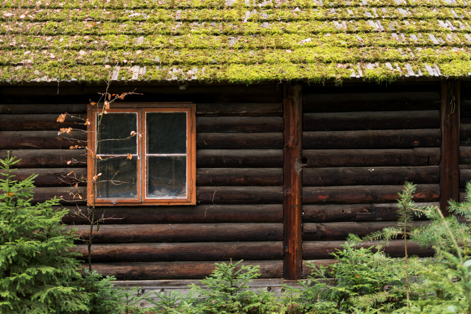 Forest log cabin detail photo