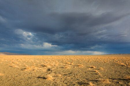 Storm in the desert photo