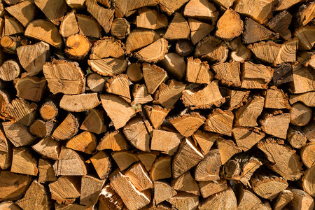 Pile of Wood photo
