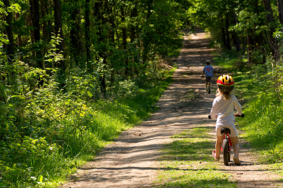 Kids on a bike ride photo