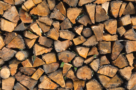 Stacked Firewood photo