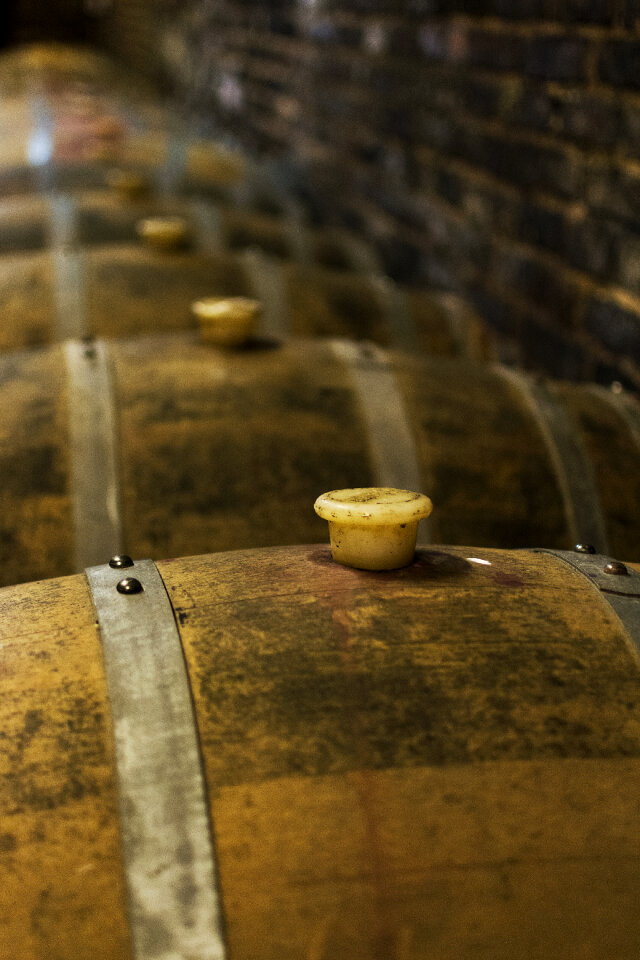 Oak Wine Barrels photo