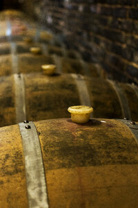 Oak Wine Barrels photo