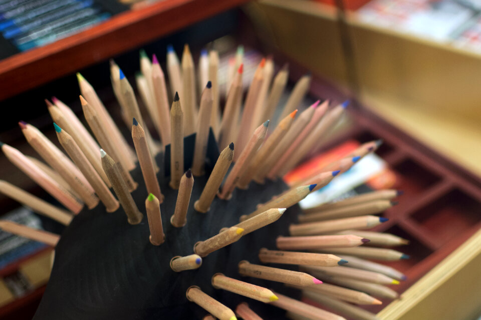 Colorful Crayons in a Hedgehog Stand
