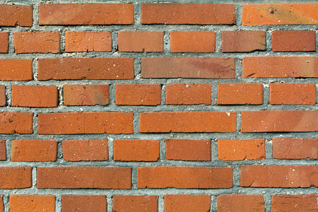 Brick Wall Texture photo