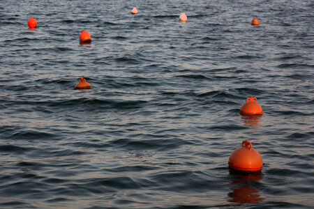 The Orange Buoys On A Sea Surface photo