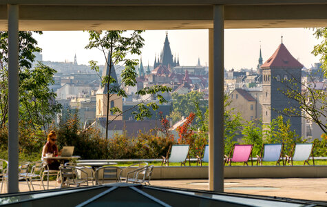Outdoor Office