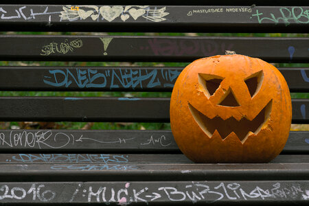 Halloween Pumpkin photo