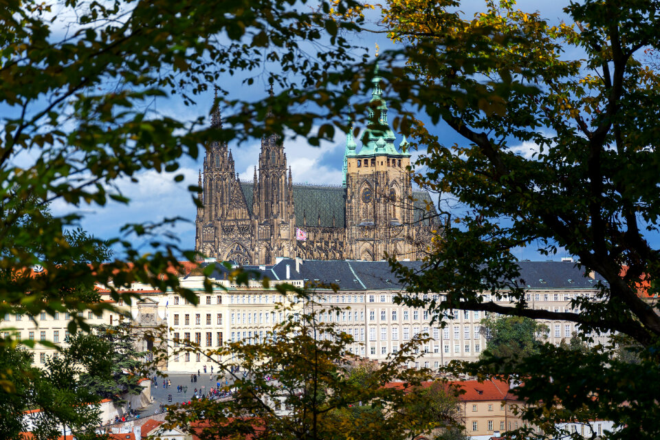 View of the Prague Castle through the trees