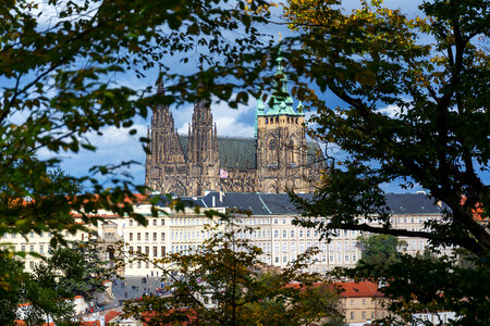 View of the Prague Castle through the trees