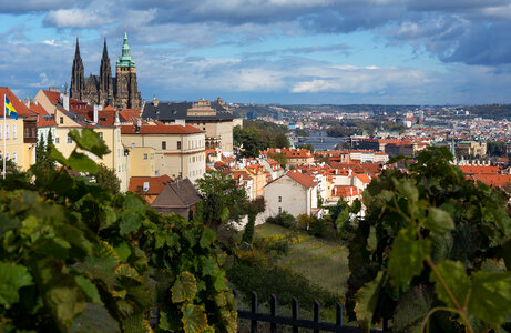 HradДЌany – Prague Castle photo
