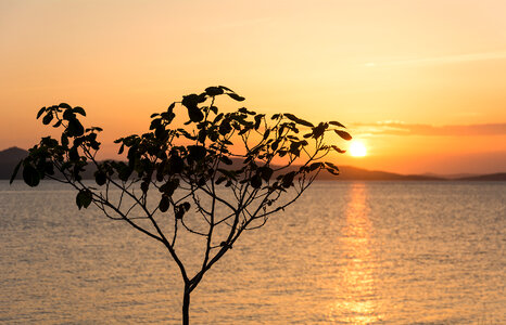 Sunset Over the Sea photo