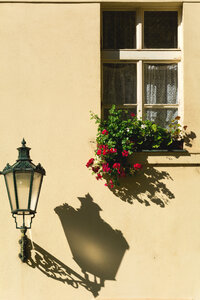 Prague street lamp and window with flowers photo