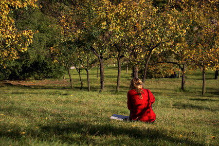 Young woman in the park photo