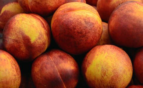 Group of Peaches
