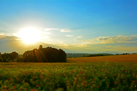 Meadow At Sunset photo