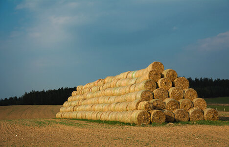 Stack Of Straw Bales photo