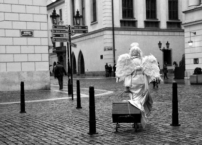 Street Angel photo