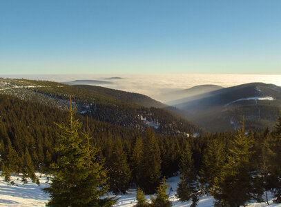 Winter Landscape photo