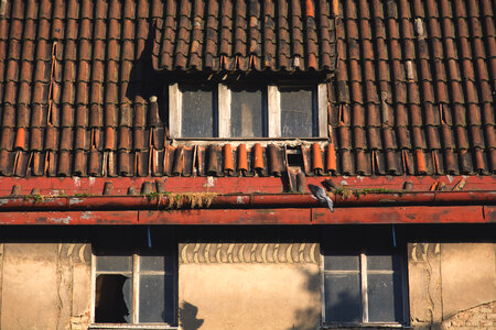 House with old roof photo