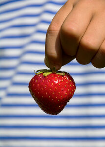 Strawberry In The Hand photo