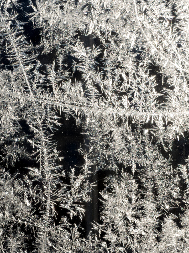 Frost on the window