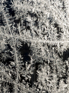 Frost on the window photo