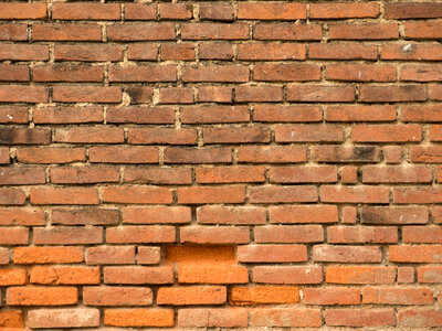 Old Brick Wall photo