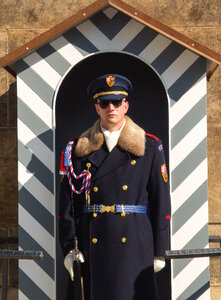 Guard Soldier In Prague Castle