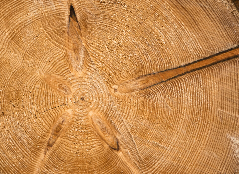 Beautiful Wood Structure