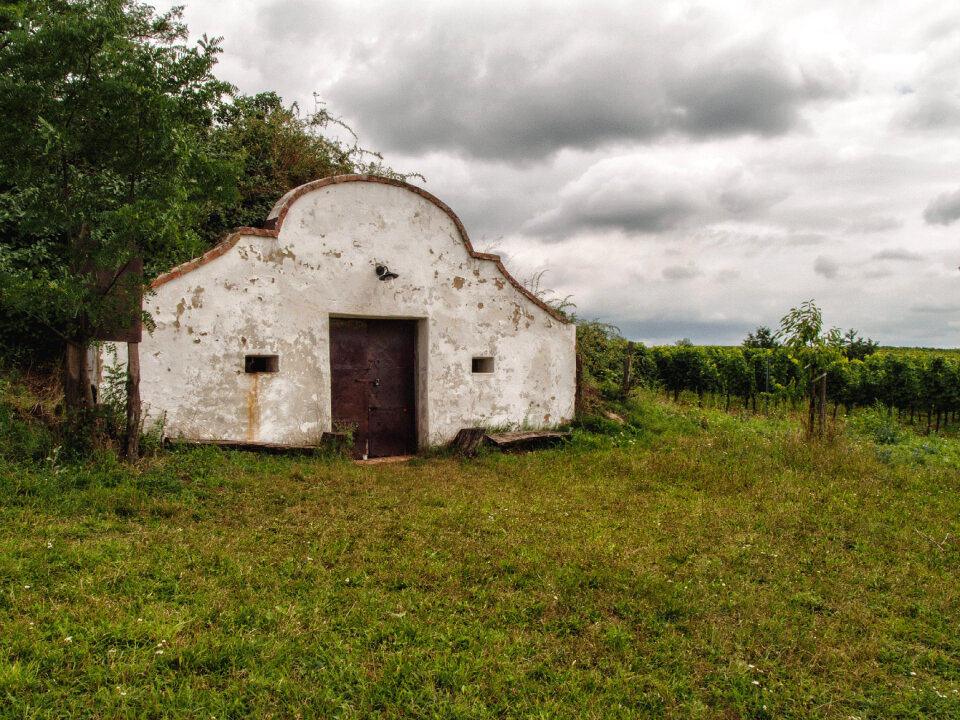 Moravian Winery House