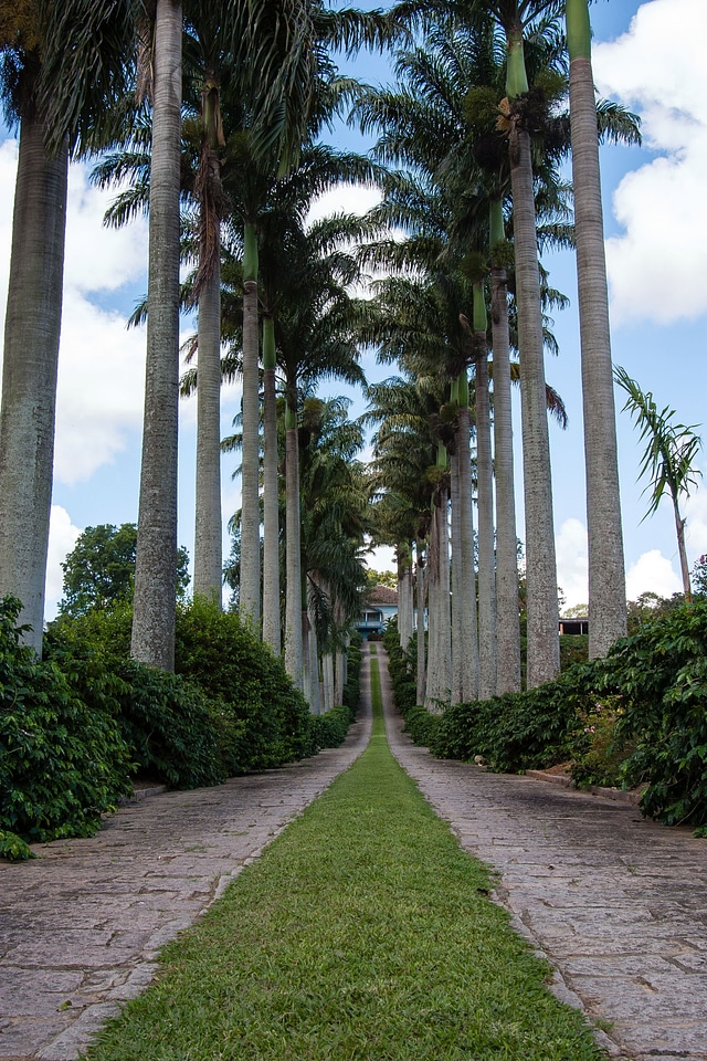 Gardens gardening parks