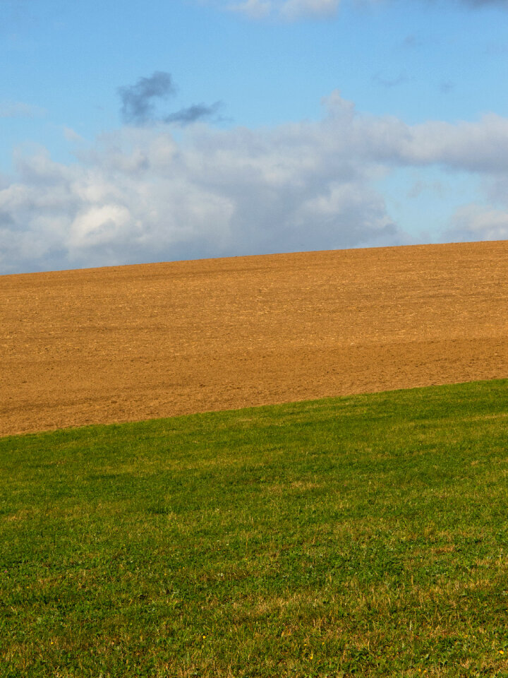 Pastue, Field And Sky
