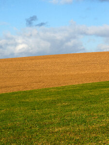 Pastue, Field And Sky