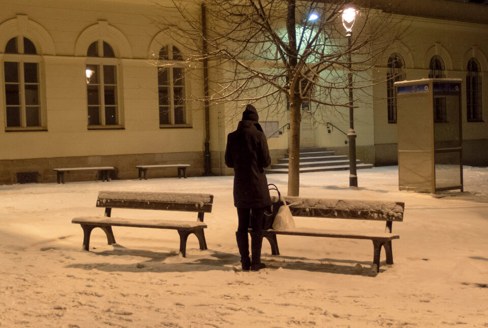 Waiting in The Night