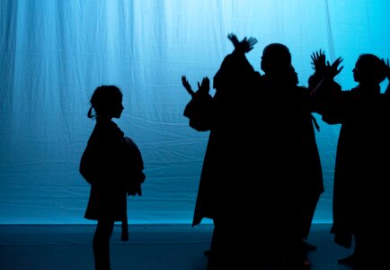 Magical Silhouette Theater